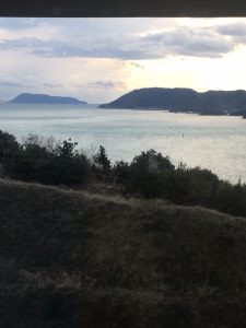 IMG_3590